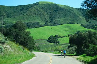 Santa Rosa Road Tour | Santa Barbara Wine Country Cycling Tours