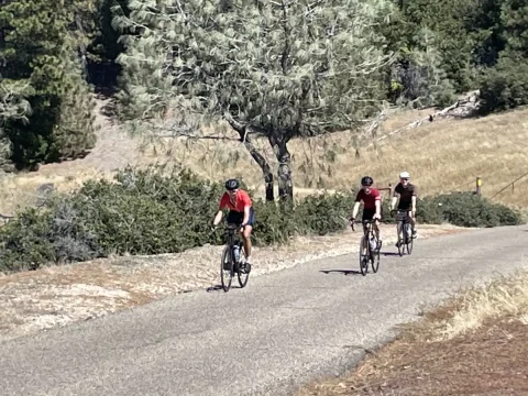 Figueroa Mountain Back Country Ride